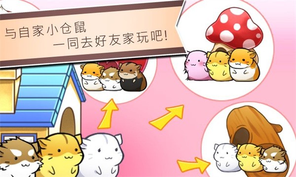 仓鼠的日常手游版图1