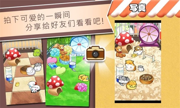 仓鼠的日常手游版图3