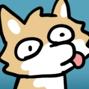FurryWisher安卓官方版