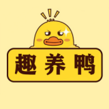 趣养鸭游戏最新版
