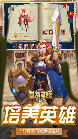 真龙英雄游戏无广告版图4