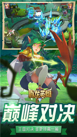 真龙英雄游戏无广告版图5