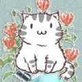 花与香水与猫安卓官方版