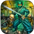 Street Kung Fu Do Fighting Vs Re手游版