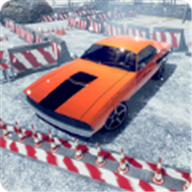 完美开车驾驶(Real Sports 3d Car Parking Perfe)手游免费版