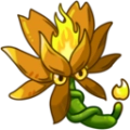 植物大战僵尸融合高数带我飞版