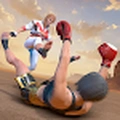 FightingGame手游免费版