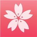 Sakura御影原版