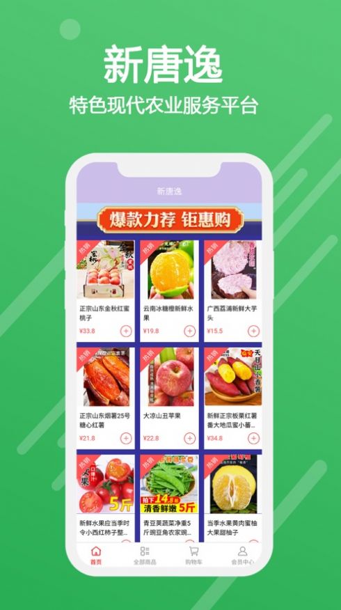 新唐逸直装版图2