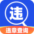 驾驶违章查询安卓直装版