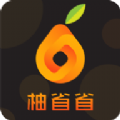 柚省省安卓直装版