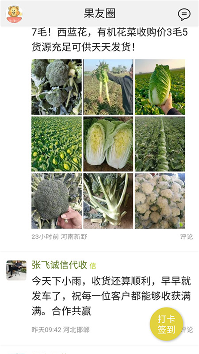 绿果网原版图5