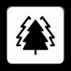 bigtree手机最新版