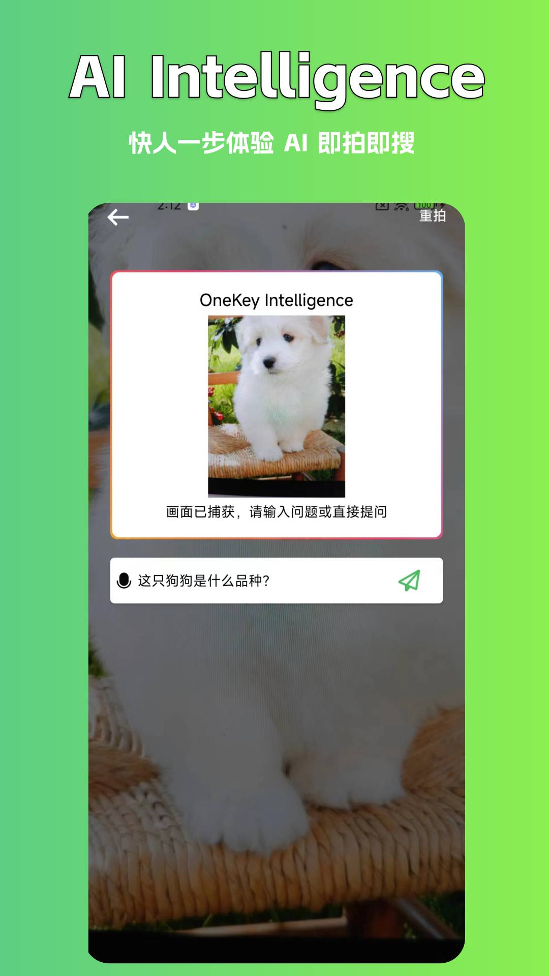 AI写作豆原版图1