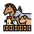 动物围笼免费原版