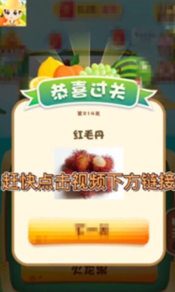 奇异果大拼盘正版图1