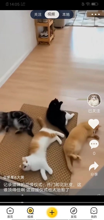 养宠汇原版图4