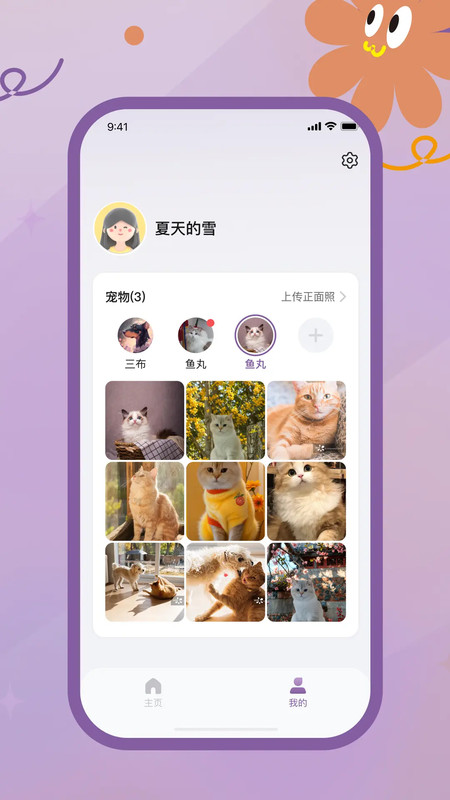 趴趴爪宠物无广告版图3