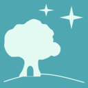 星星树洞官方版