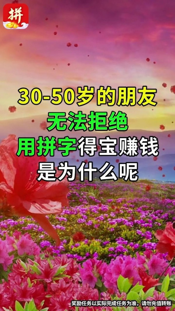 拼字得宝原版图2