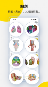 3dbody解剖官方版图3