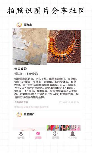 拍照识物手机正版图2
