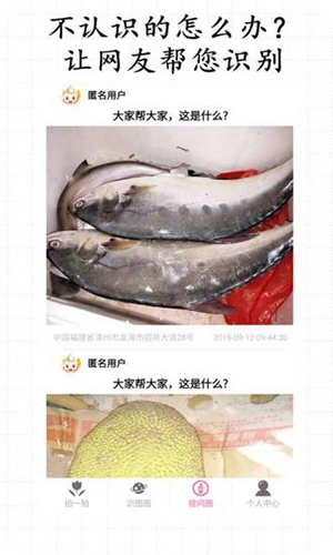 拍照识物手机正版图4
