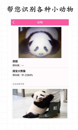 拍照识物手机正版图3