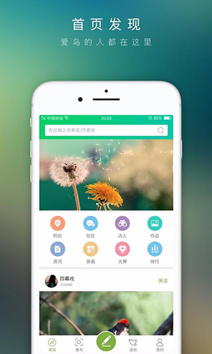 爱鸟原版图1
