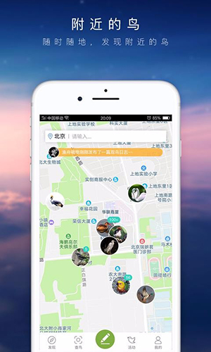 爱鸟原版图3