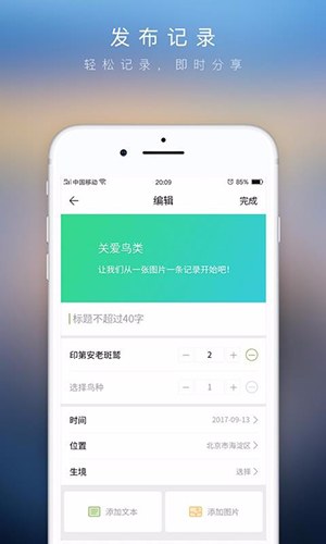 爱鸟原版图4