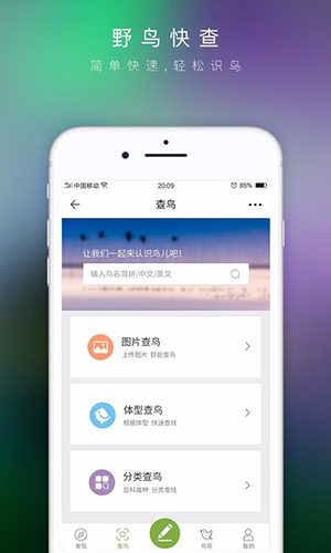 爱鸟原版图2