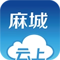 云上麻城安卓直装版