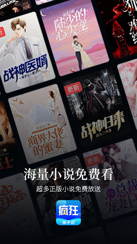 疯狂小说正版图1
