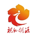 视外桃源正版