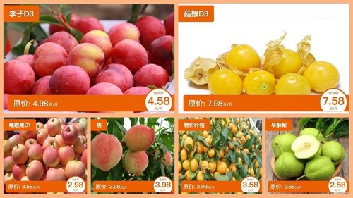 知了知屏TV版图2