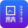常青画室无广告版