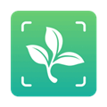 植物大师最新免费版