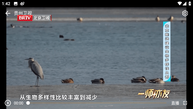 小电视TV电视版图1