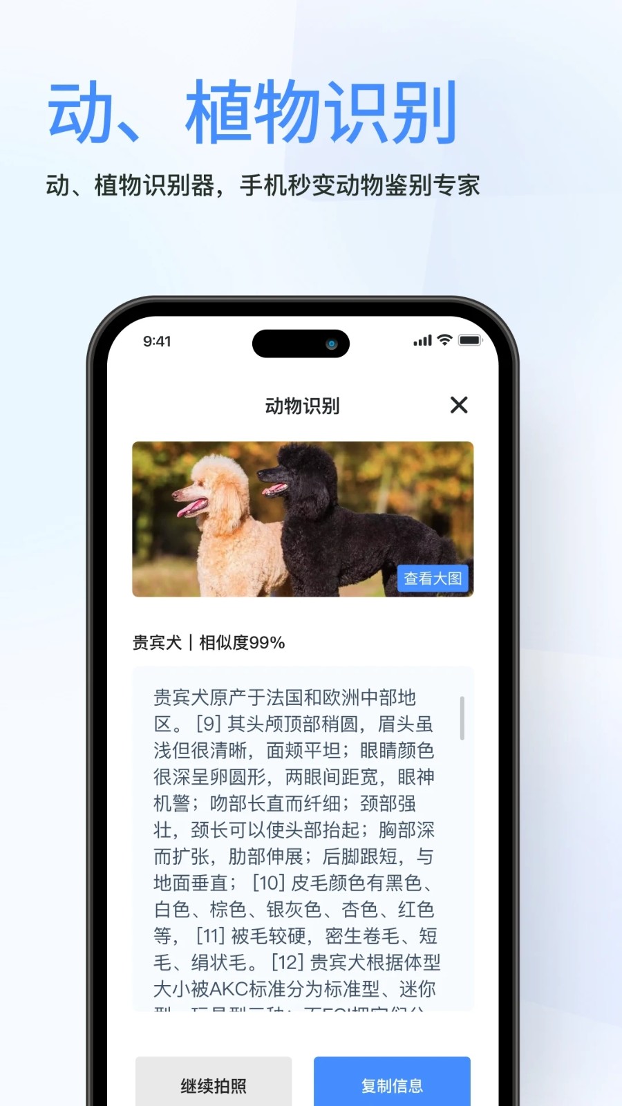 春枫扫描免费原版图1