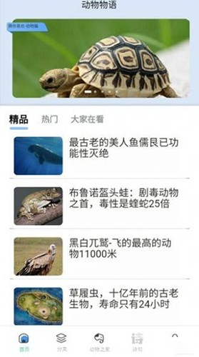 动物物语官方最新版图1