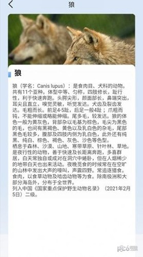 动物物语官方最新版图2