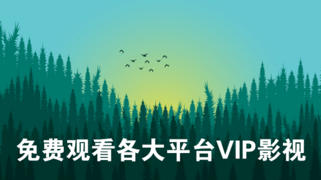 新聚合VIPTV电视版图4