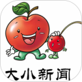 大小新闻安卓官方版