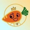 萝卜日记最新版