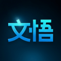 文悟原版