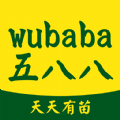五八八最新版