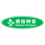 缤纷种苗通用版