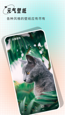 清壁纸安卓版图2
