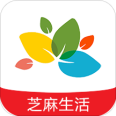 芝麻生活原版